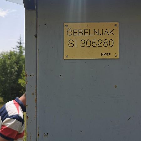 Farm Stay Pri Cepcovih Golac Dış mekan fotoğraf
