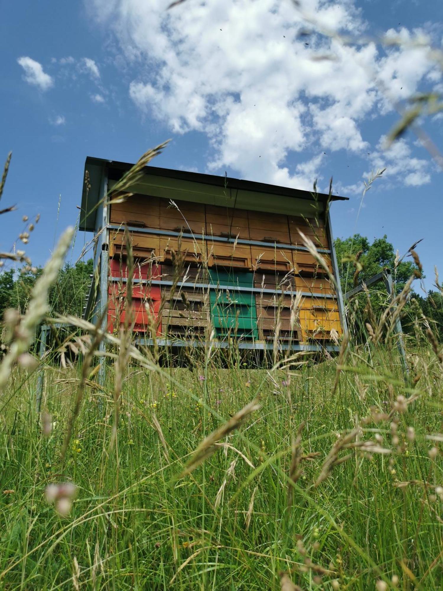 Farm Stay Pri Cepcovih Golac Dış mekan fotoğraf