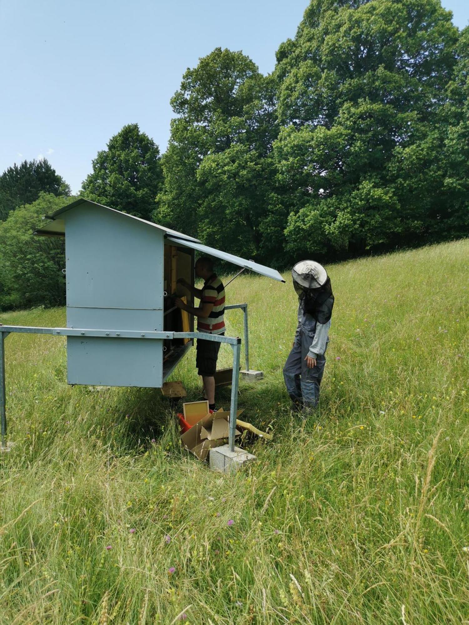 Farm Stay Pri Cepcovih Golac Dış mekan fotoğraf